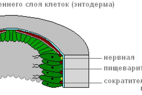 Маркетплейс кракен kraken