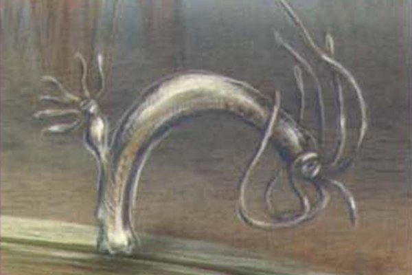 Регистрация на kraken com